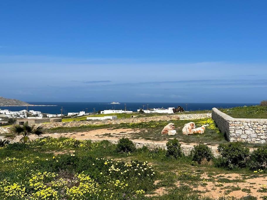 Aretousa Residence In Naoussa, Paros Eksteriør bilde