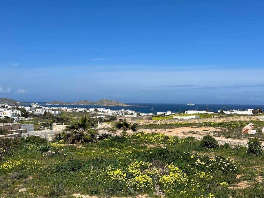 Aretousa Residence In Naoussa, Paros Eksteriør bilde