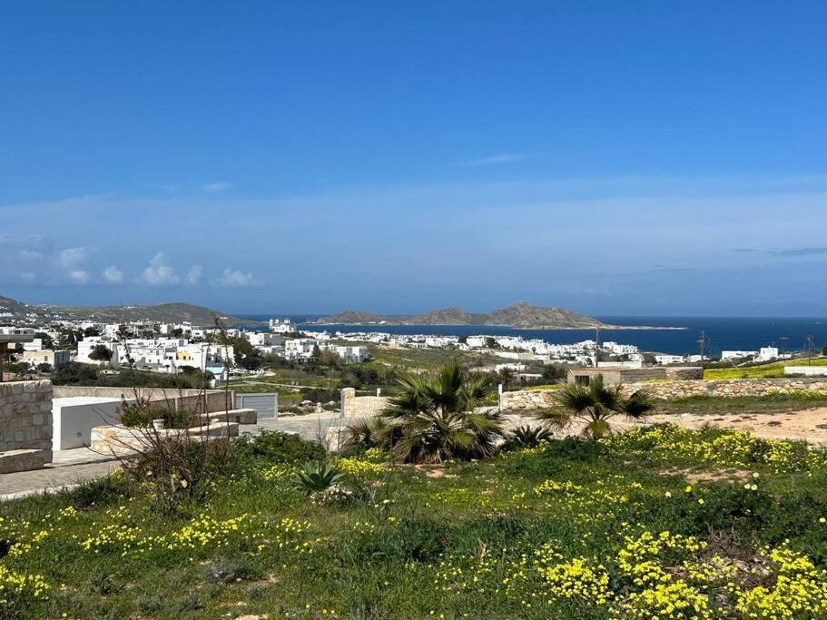 Aretousa Residence In Naoussa, Paros Eksteriør bilde